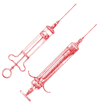 왜 살처분 거부한 제가 가해자인가요? [이기적인 방역 – 살처분 백신 딜레마]