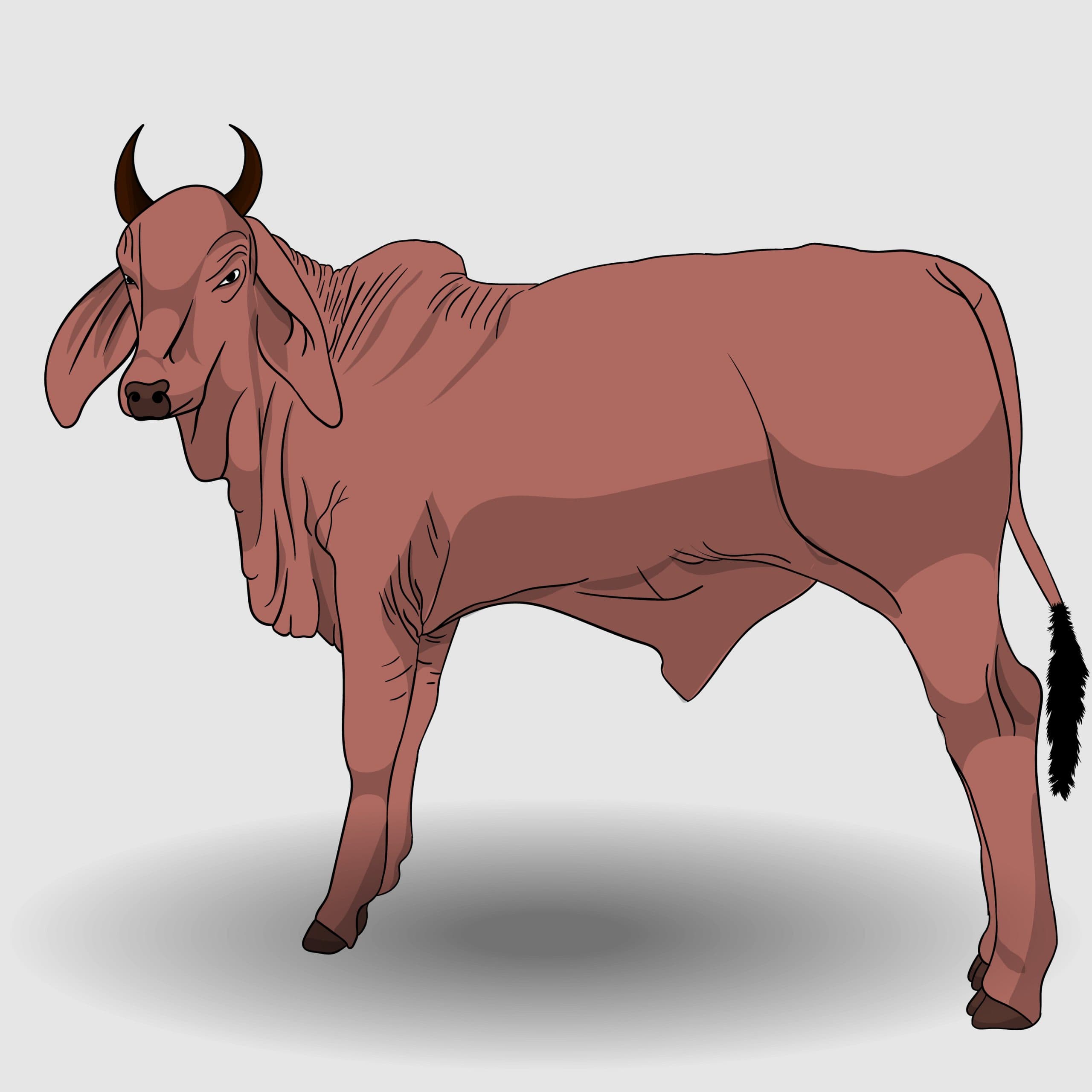 문화의 차이가 빚어낸 비극 [두 소몰이꾼 – 이문열 세계명작산책 7. 사내들만의 미학]