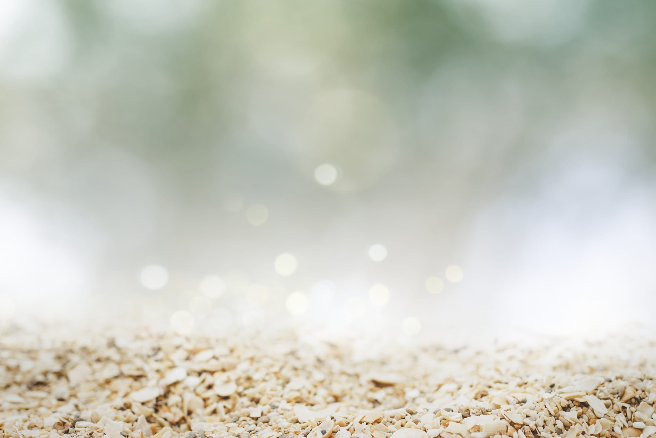 순수하고 고양된 유미주의唯美主義의 결정結晶 [행복한 왕자– 이문열 세계명작산책 10. 그래도 사랑할 만한 인간]